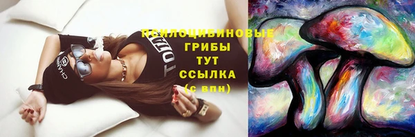 гашик Бородино