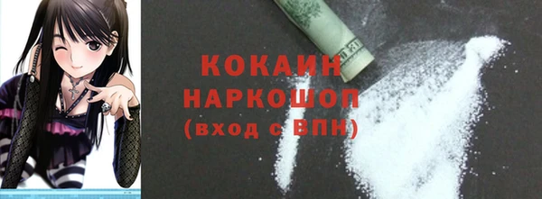гашик Бородино