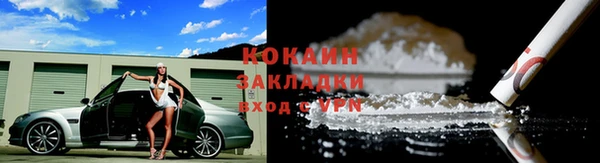 гашик Бородино