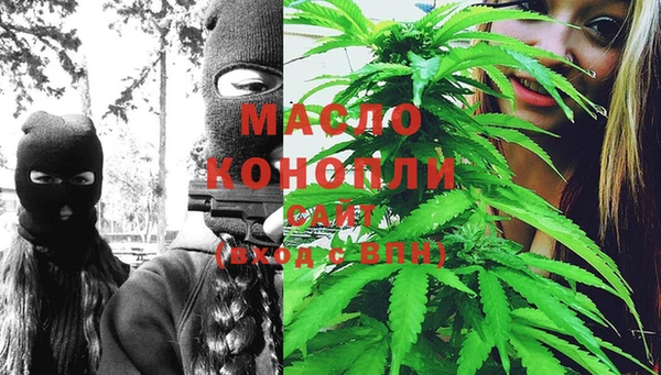 гашик Бородино