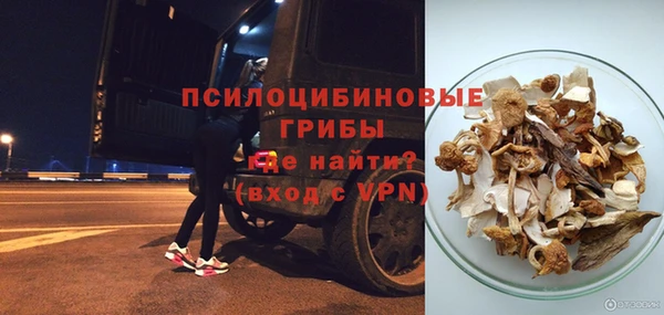 гашик Бородино