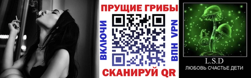 Псилоцибиновые грибы Magic Shrooms  Шенкурск 