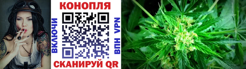 blacksprut как зайти  Шенкурск  площадка формула  как найти   Канабис планчик 